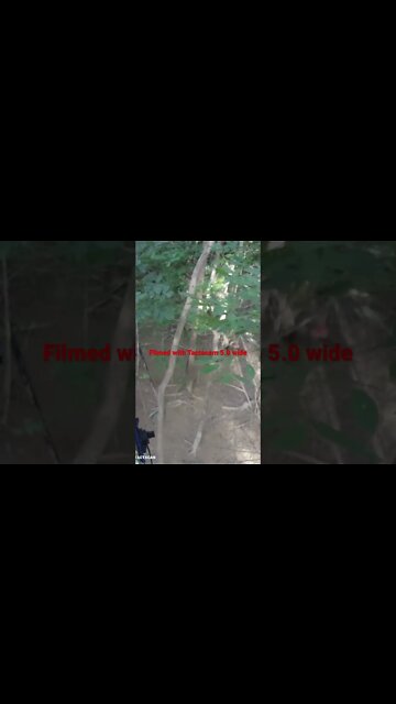 4 yard shot, filmed with a Tactacam 5.0 wide