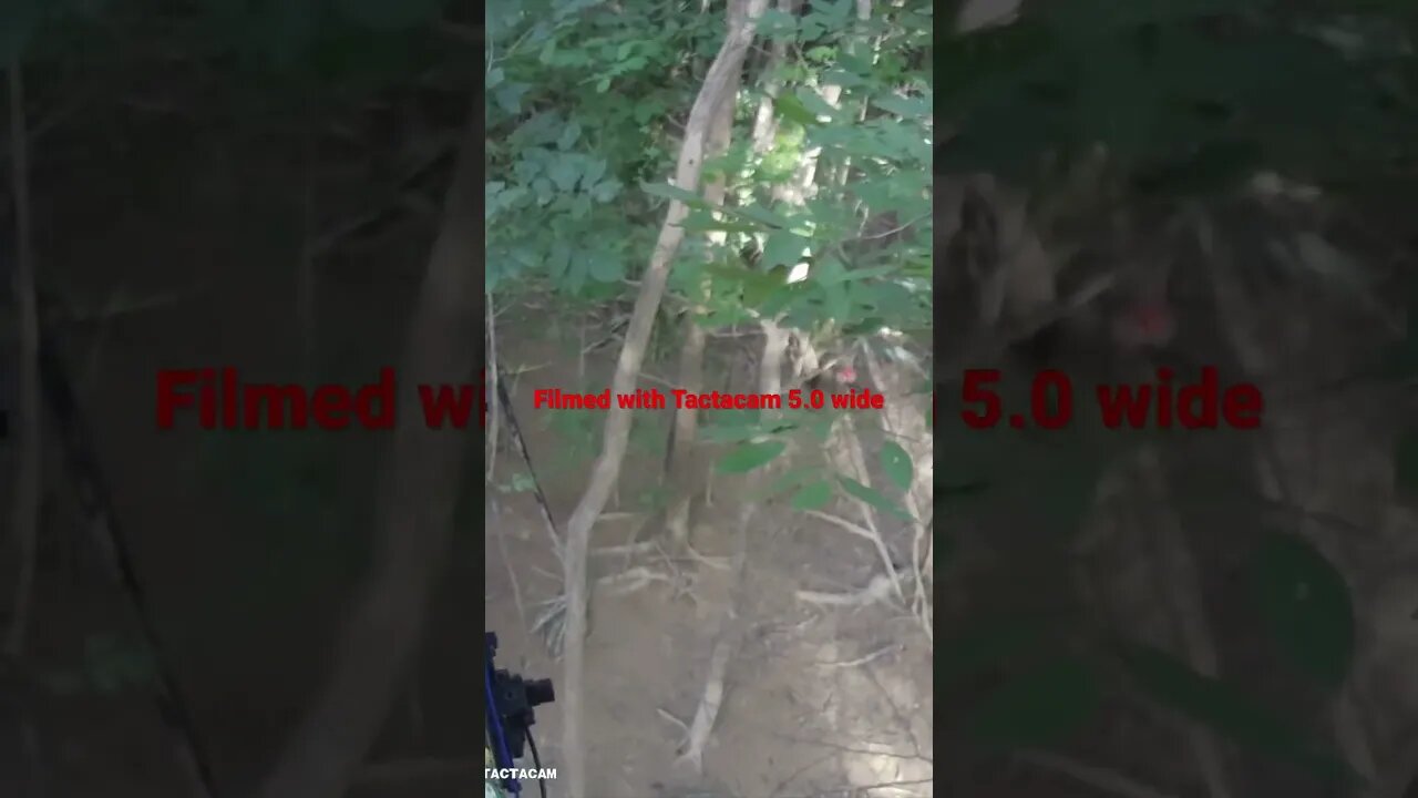 4 yard shot, filmed with a Tactacam 5.0 wide