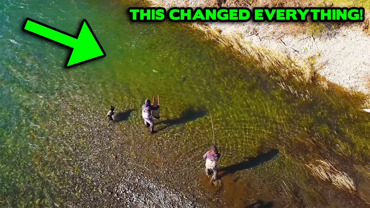 This LURE Changed Our Entire Day Of STEELHEAD FISHING For The BETTER!!