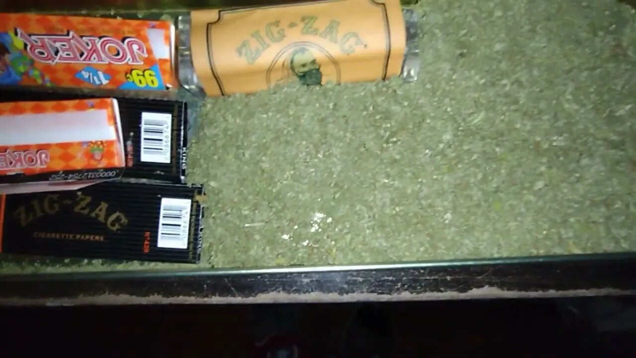 Rolling Up Morning 👑's
