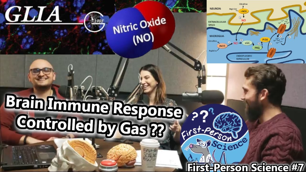 Microglial Phagocytosis & Brain Inflammation Are Controlled By Nitric Oxide & TRPV2 | FPS#7