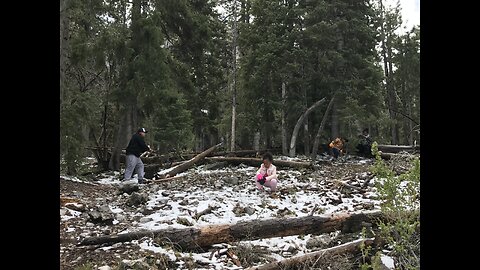 Locals enjoy Memorial Day snow at Mount Charleston