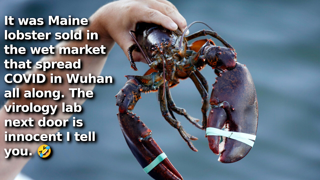 The CCP is Now Claiming That Maine Lobster Gave China COVID, Singles Out One Company as Scapegoat