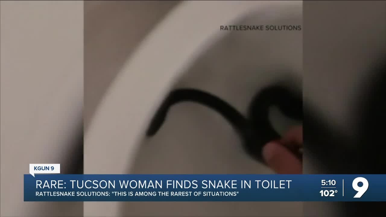 Tucson woman finds snake in toiler