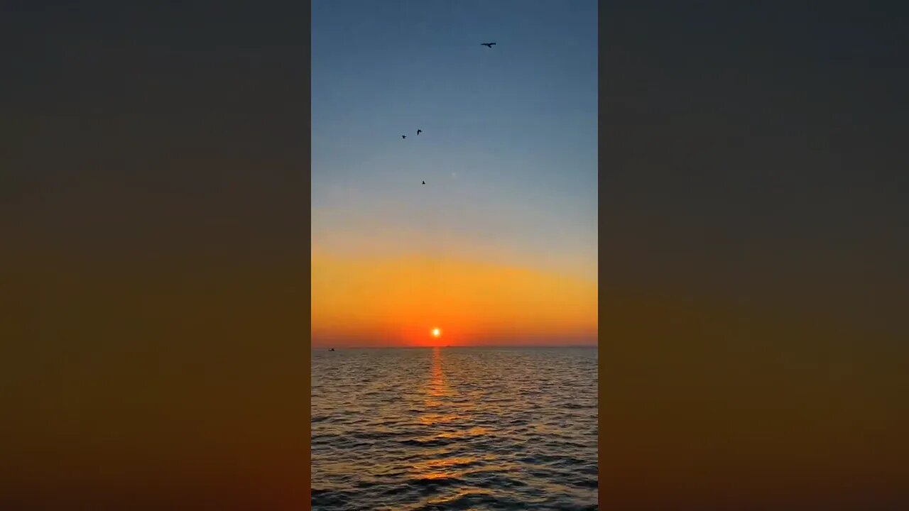 Beautiful sun set and sea view #viral short 🌊🌊