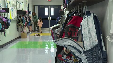 Tampa Bay doctors share tips to keep kids healthy during school year