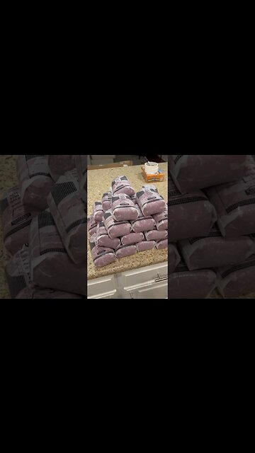 Field to table! #shorts #selfsustaining #harvest