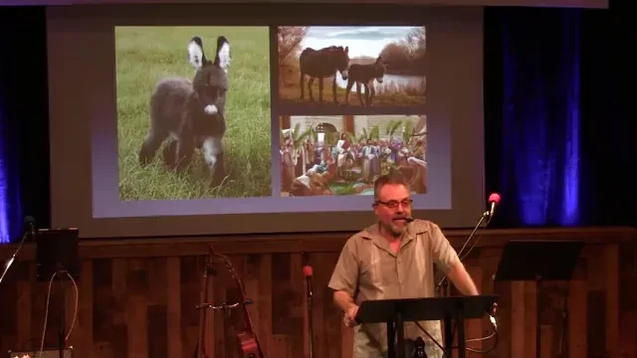 On a Little Donkey 2000 Years Ago