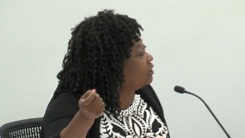 Councilwoman Lynne Hubbard said she went to give opinion during secret meeting