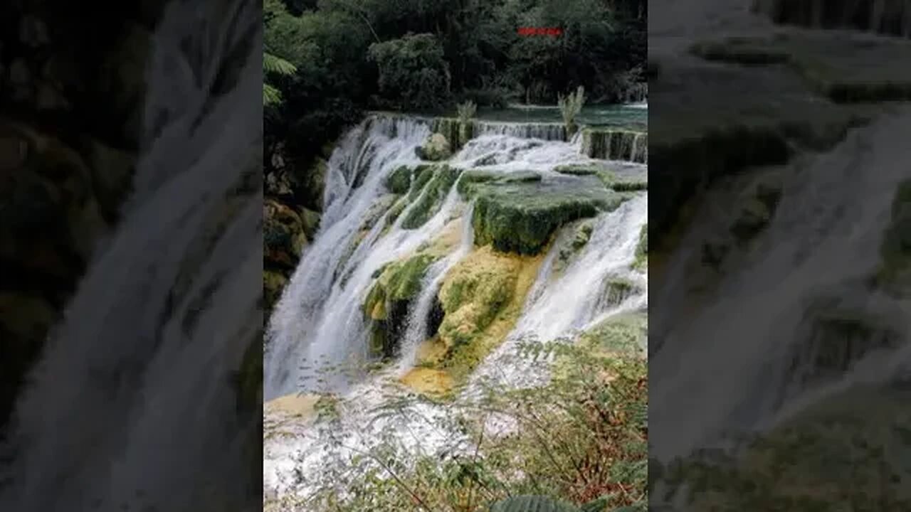 Sem Deus é como peixe fora d'água