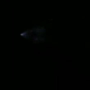 RAW VIDEO: SpaceX rocket seen from Tucson