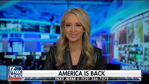 Kayleigh McEnany: Prepare For The Resistance Within D.C