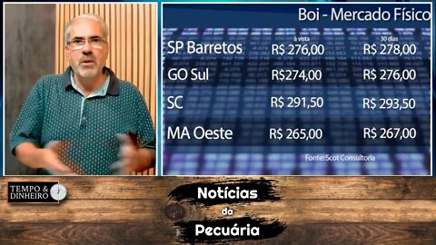 Boi gordo não reage