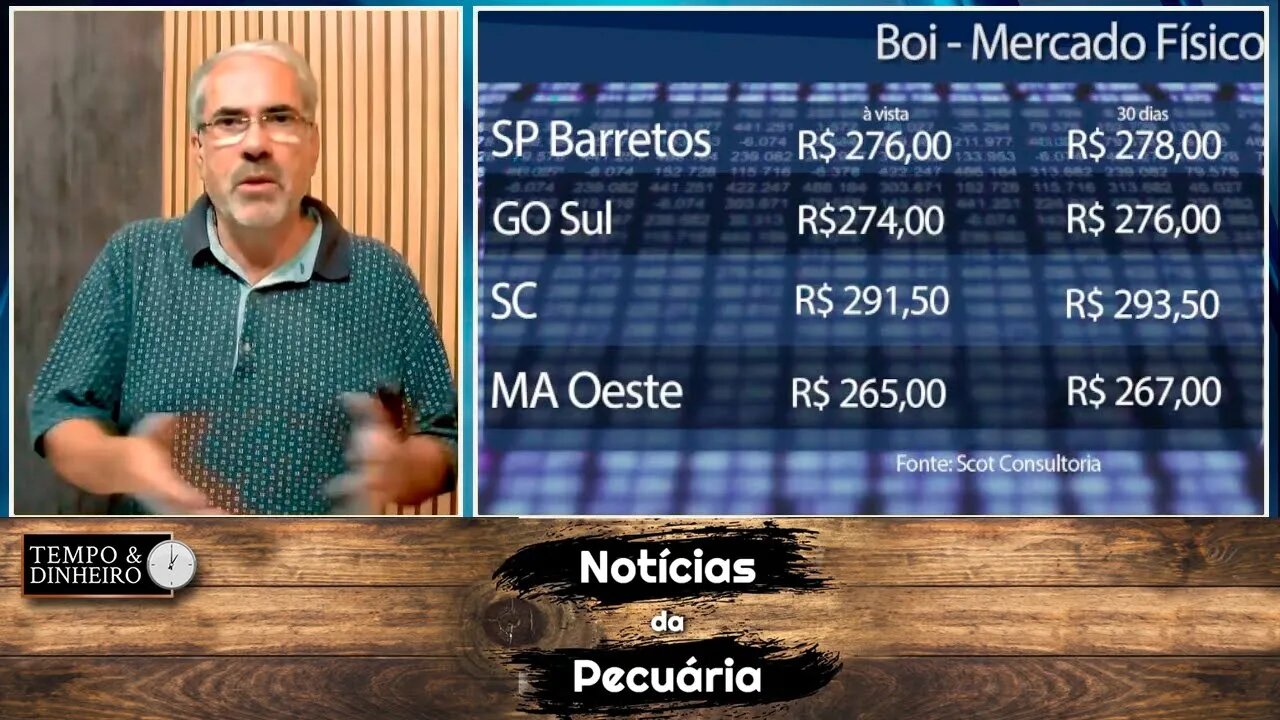 Boi gordo não reage