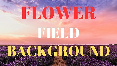 FLOWER FIELD BACKGROUND || 4K