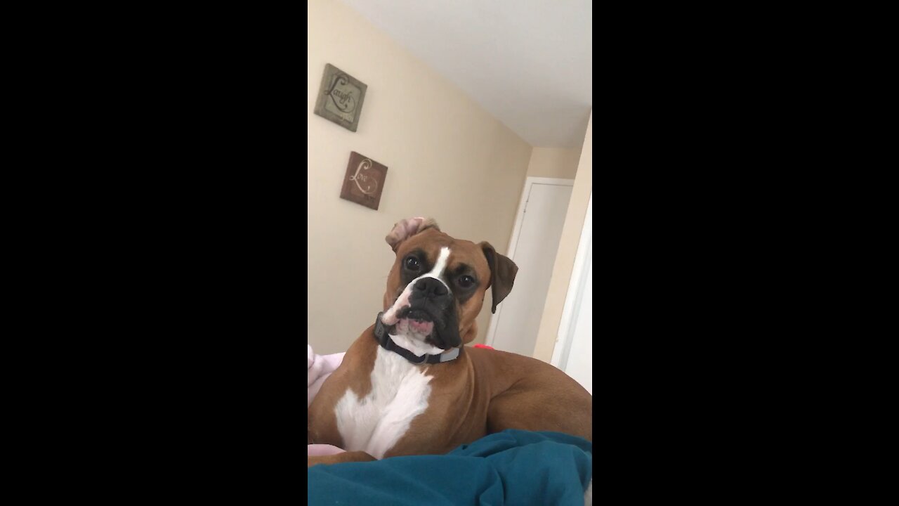 Do you want me to go to work? (Wait for it) 😂