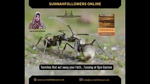 Hadith class - Termites #20