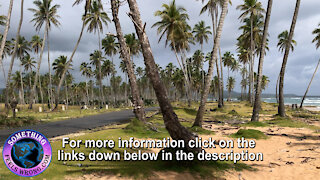 Beachfront Land For Sale - La Entrada's Boca Beach