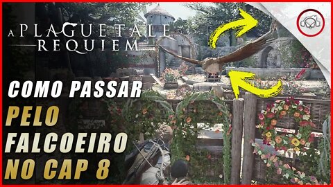 A Plague Tale: Requiem, Como conseguir passar pelo Falcoeiro no Cap 8 | Super-Dica