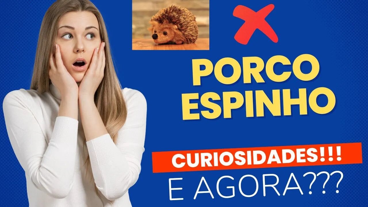 Porco Espinho Curiosidades