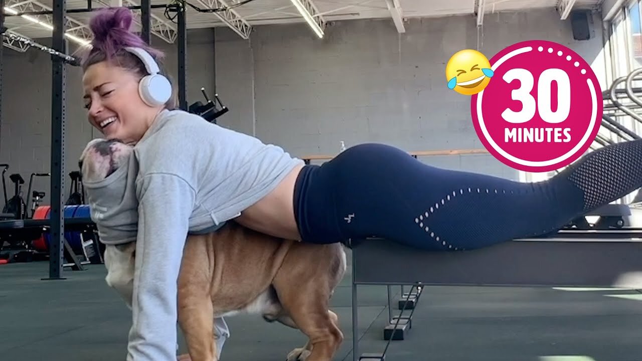 Dog Slips Into Woman's Workout 😯 - FUNNIEST Pets Of The Year...So Far (2024)