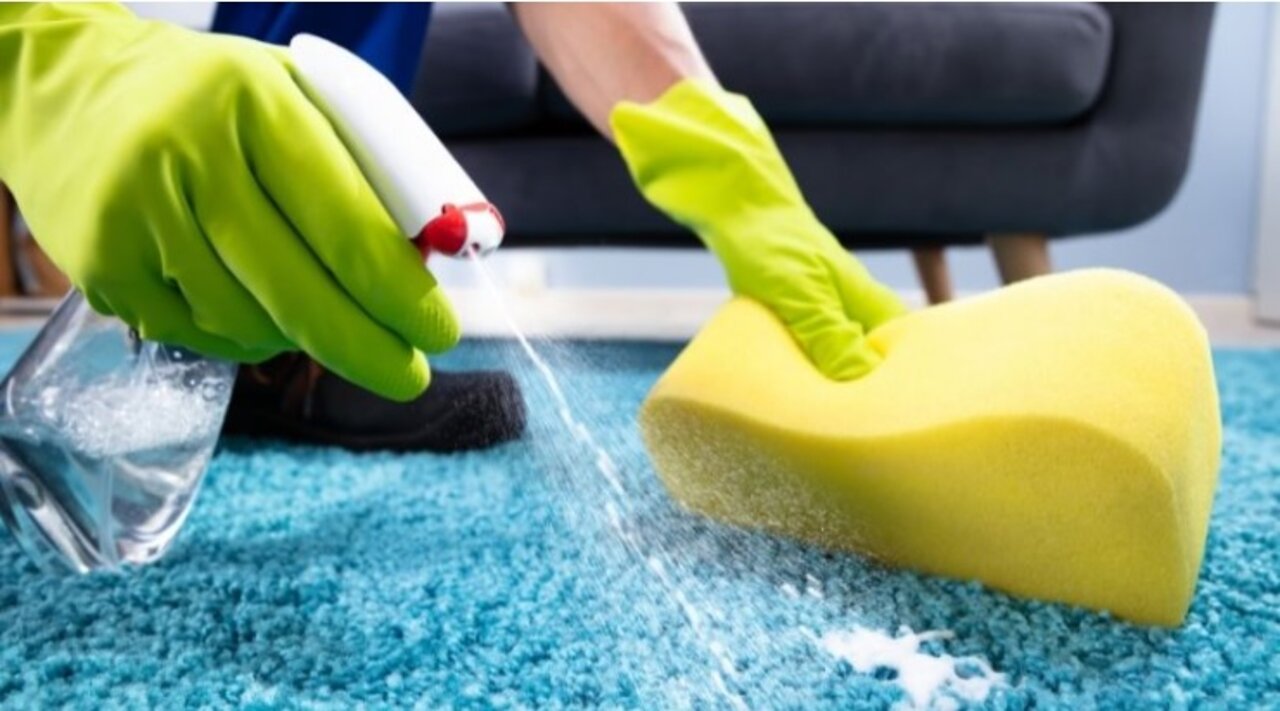 How to Clean Your Carpet: Materials and Procedures for Every Office