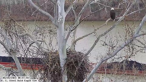 USS Bald Eagle Cam 2 view of Tugboat with barges going past nest