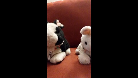 Two bunnies sniffing