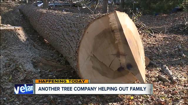 Local company removes tree that fell on Sagamore Hills home, injuring elderly man, for free