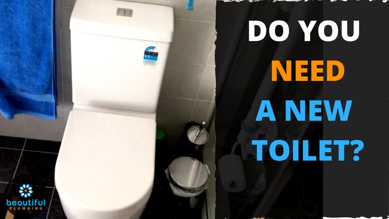 Do You Need a New Toilet? You See What We Did Here