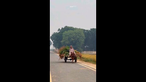 PAKISTAN PUNJAB VIEW
