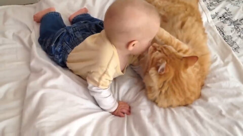 Cats and Babies 2021