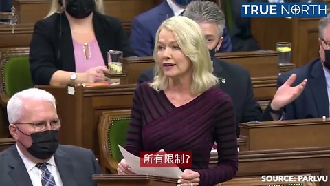 Bergen says Trudeau caused division by overtly politicizing vaccines（中文字幕）