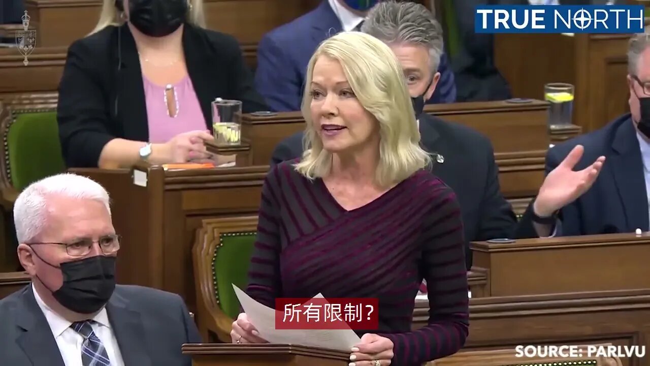 Bergen says Trudeau caused division by overtly politicizing vaccines（中文字幕）