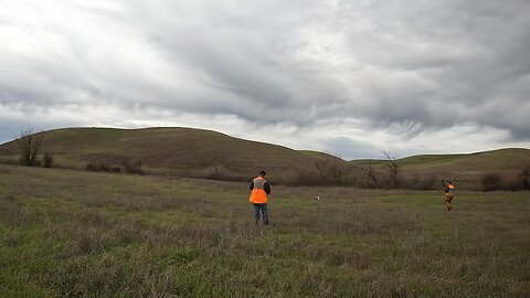 We find this chukar later!