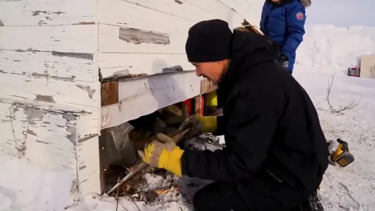 Arctic Homestead 10 years living off the Alaskan wilderness