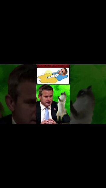 KINZINGER CRIES FOR CATTURD
