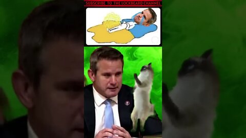 KINZINGER CRIES FOR CATTURD