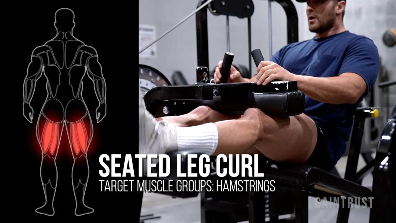 Seated Leg Curl