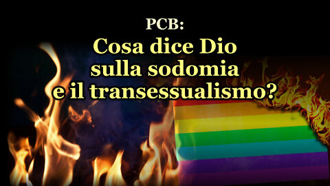 PCB: Cosa dice Dio sulla sodomia e il transessualismo?