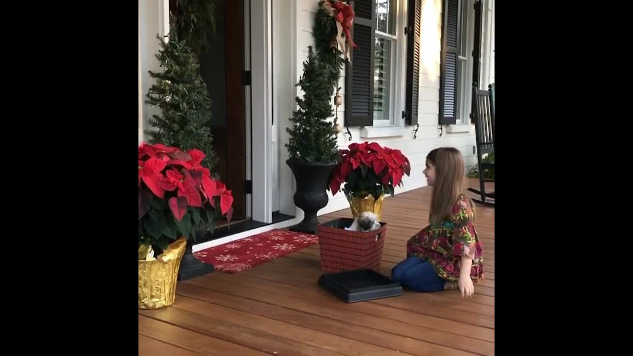 Little Girl Finds New Puppy Surprise Outside Her Door