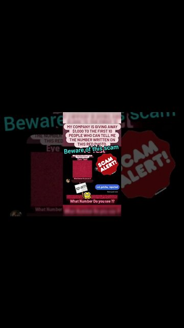 Scams 👎 #scammers #instascam #instagram #ohhighbud #strangedanimal