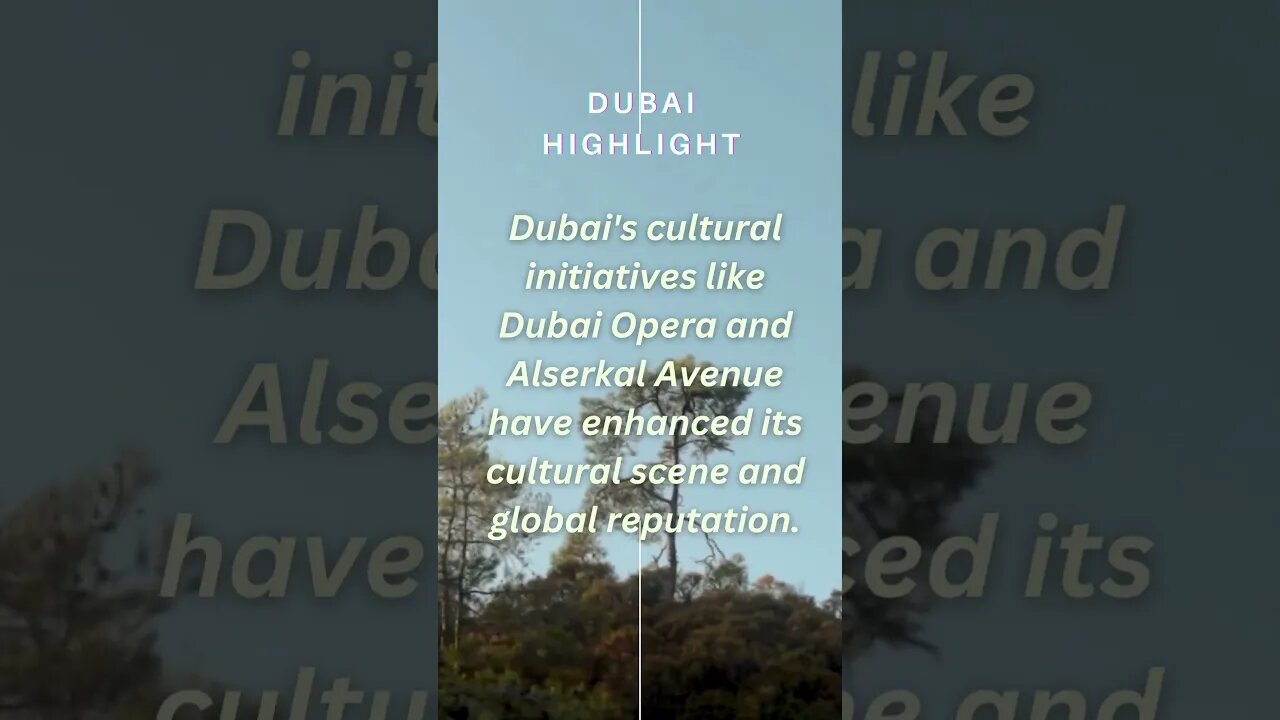 Dubai Highlights 20 #dubai #dubaihighlights #2023 #dubaihistory #viral