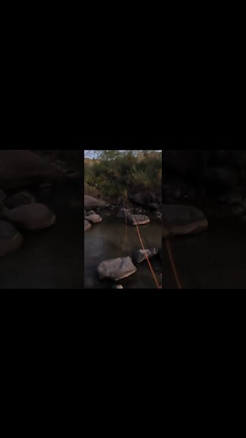 Fastest catch & release