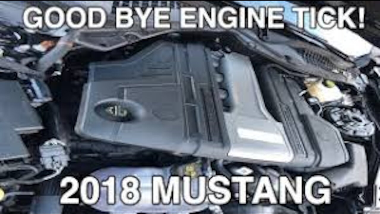 2018-2019 mustang Typewriter/BBQ tick. What it really is.