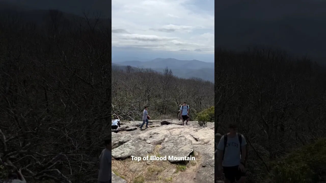 Georgia’s Highest peak on the #appalachiantrail Blood Mountain. #hike #trail #appalachianmountains #