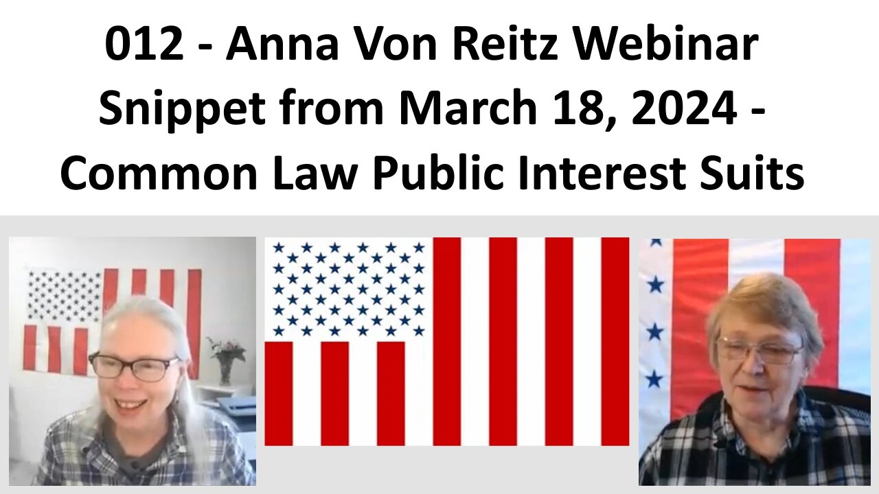 012 - AVR Webinar Snippet from March 18, 2024 - Common Law Public Interest Suits