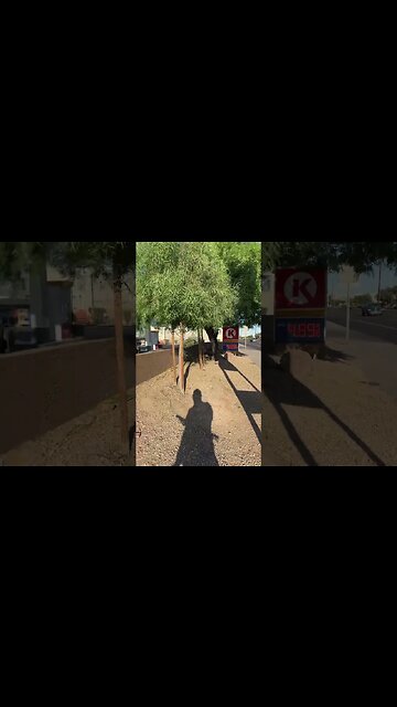 The homeless removal program is working - Tempe Arizona