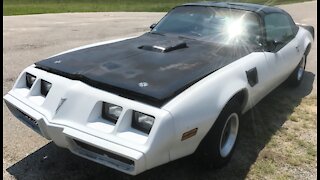 1981 Firebird Idle