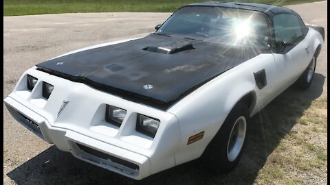 1981 Firebird Idle